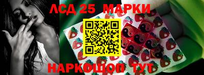 apvp Кингисепп