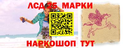 apvp Кингисепп