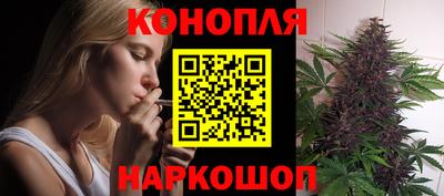 гидра Кимры