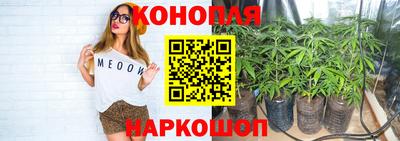apvp Кингисепп