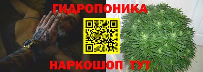 спайс Кинель