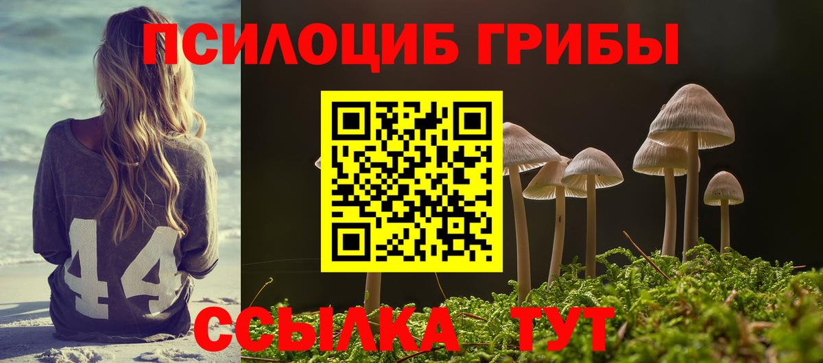 Галлюциногенные грибы MAGIC MUSHROOMS  Вход с VPN  Буйнакск 